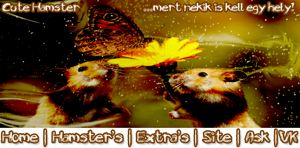 Cute Hamster - ...mert nekik is kell egy hely!